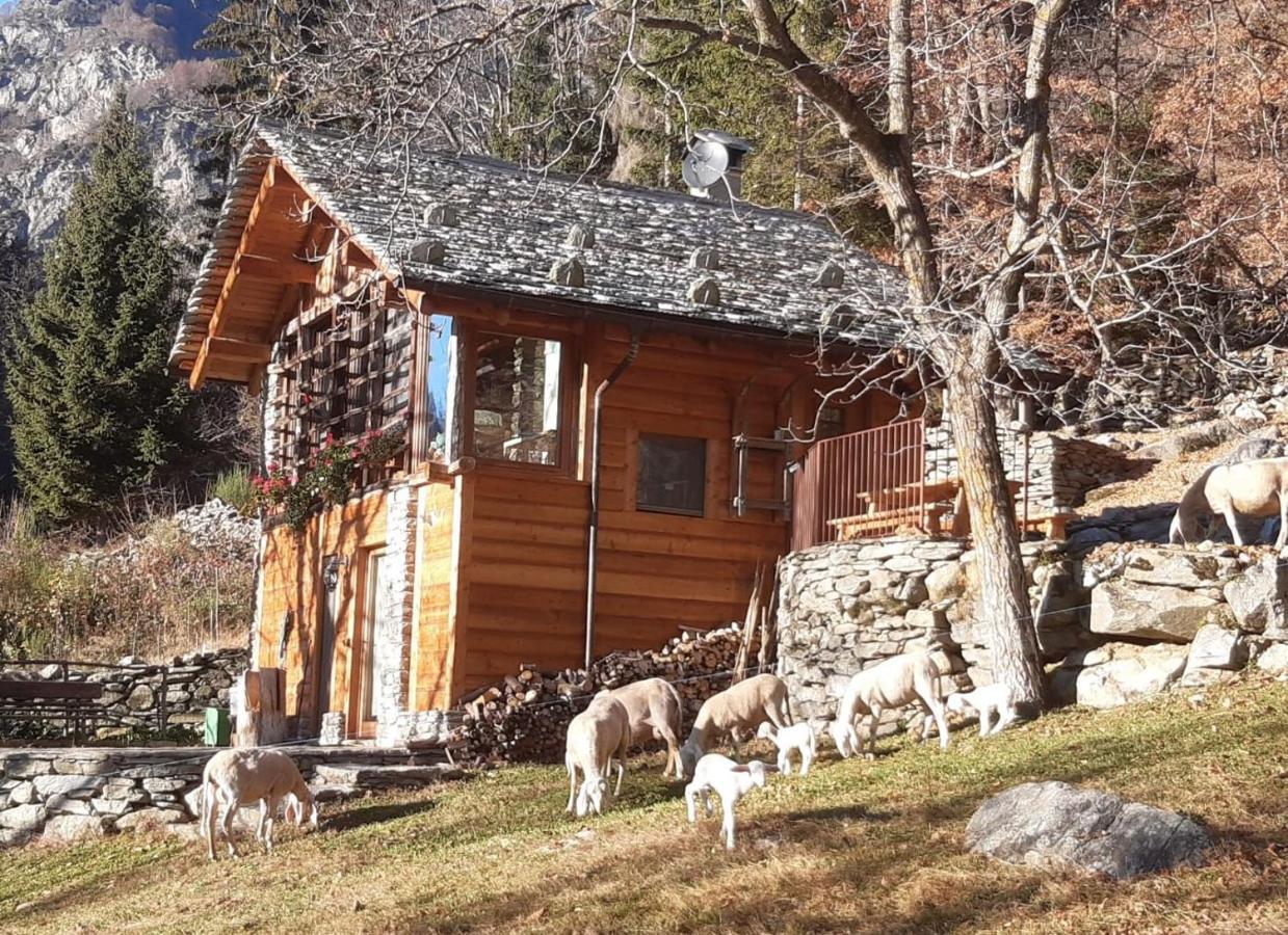 Baita Del Noce Mollia Eksteriør bilde